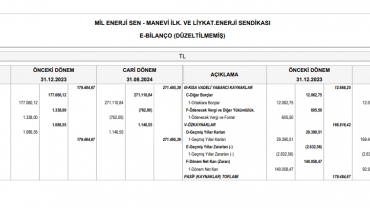 01.01.2024 ile 31.08.2024 tarihleri arası genel merkez denetim kurulu raporu